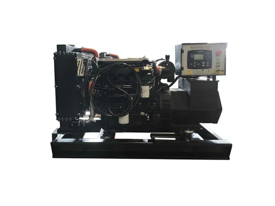 50kw 80kw 120kw 200kw 300kw 400kw 500kw 1000kw Biogas Methane LPG Gas Generator Set